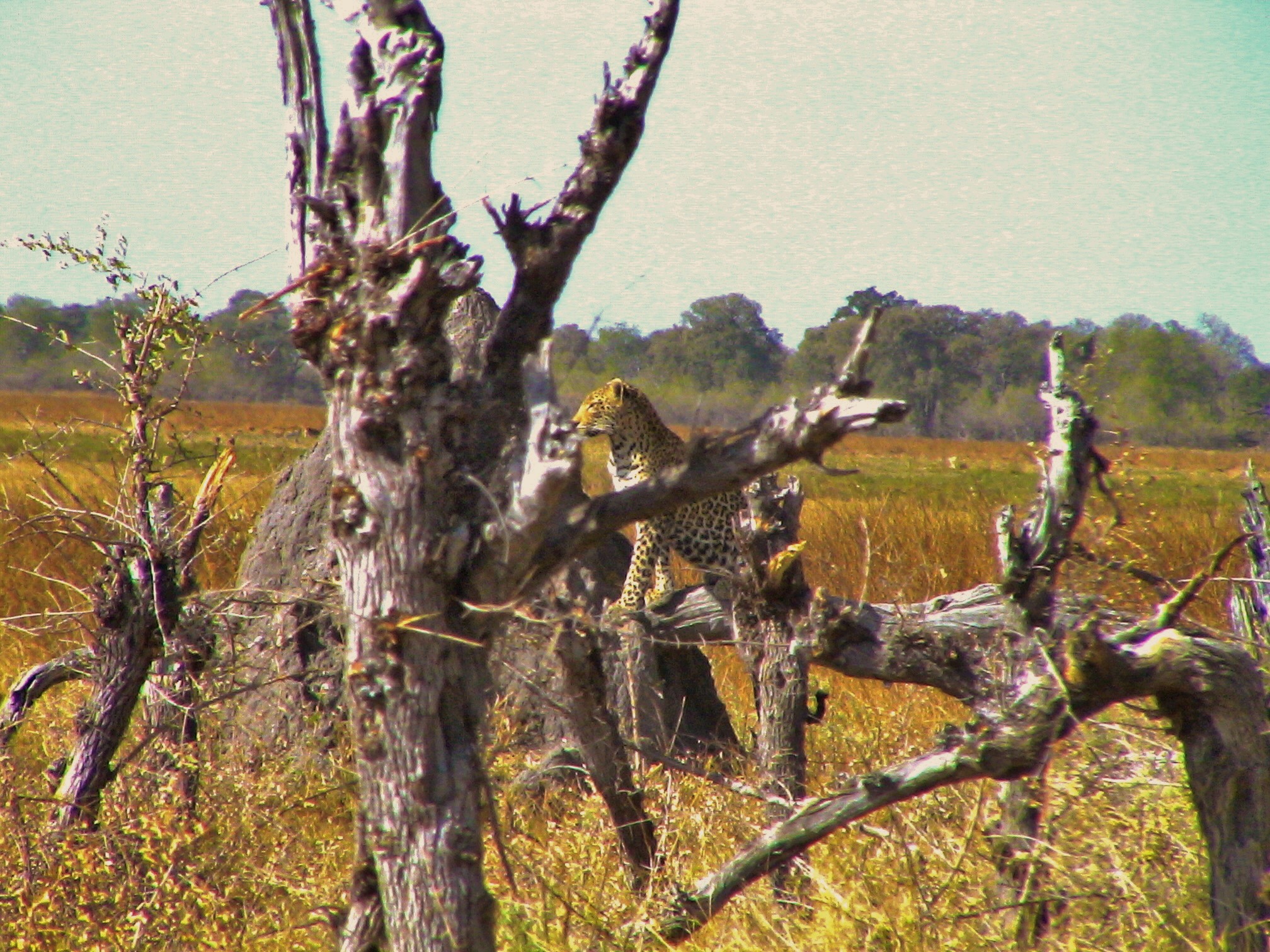 Séjours sur mesure pour groupes et familles